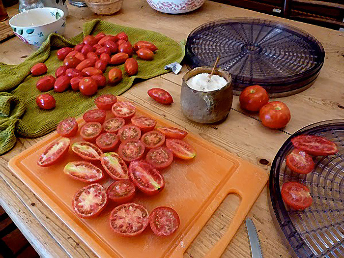 AAA ACCADEMIA AFFAMATI AFFANNATI: Conserve
