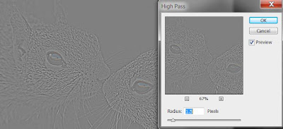 photoshop cs6 : high pass filter tool