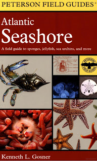 Atlantic Seashore :A Field Guide to the Sponges ,Jellyfish ,Sea Urchins and More