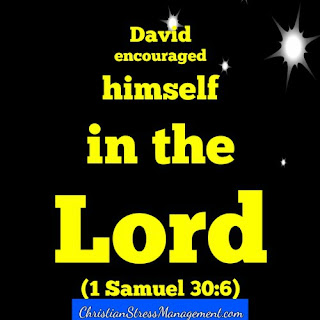 David encouraged himself in the Lord 1 Samuel 30:6