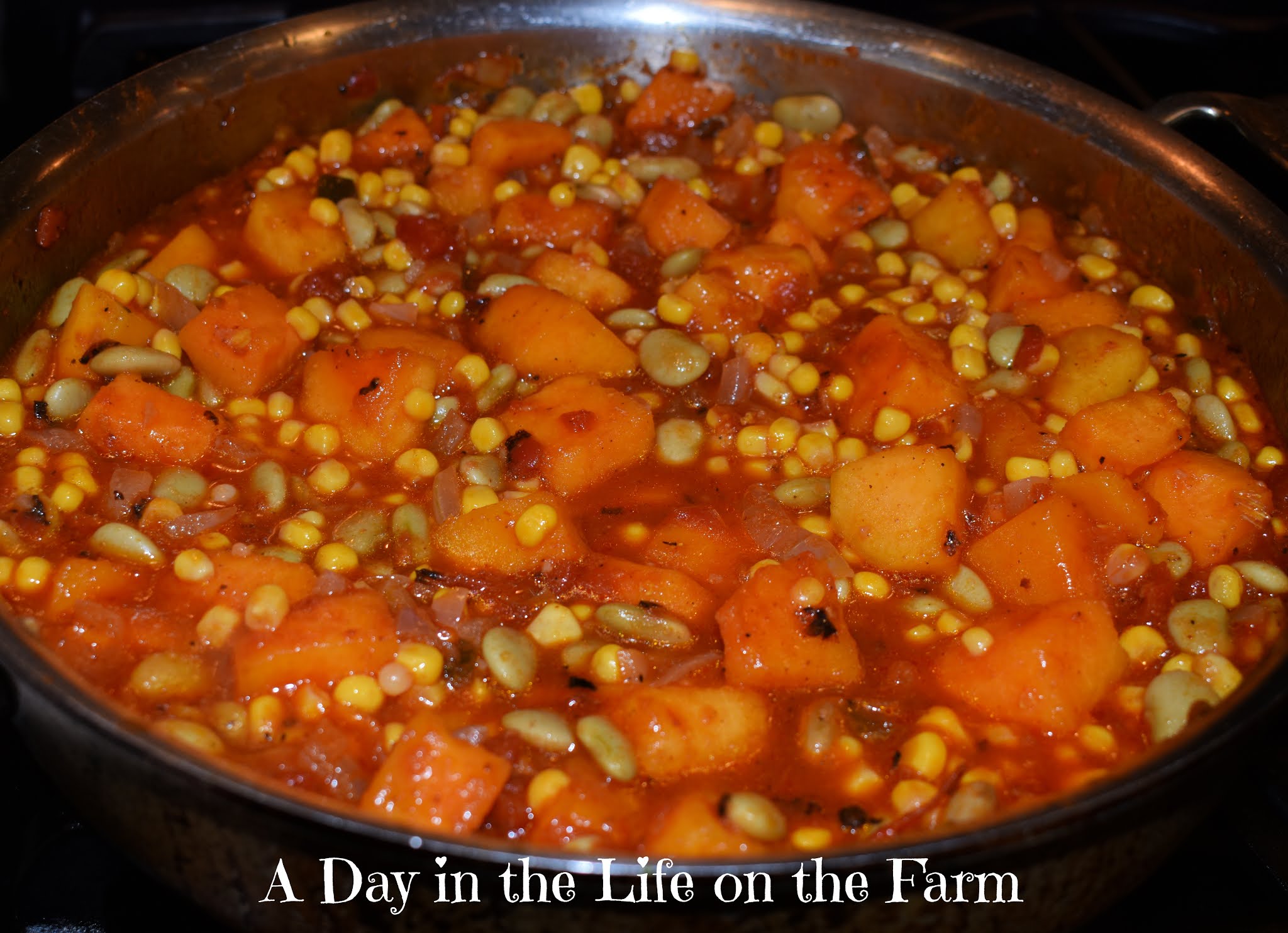 A Day in the Life on the Farm Celebrating the Algonquin Indian Tribe with 3 Sisters Casserole