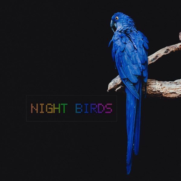 Black Crown – NIGHT BIRDS – Single