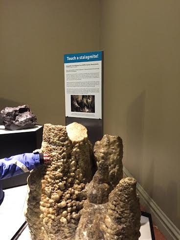 Touch a stalagmite at the Carnegie Museum of Natural History.