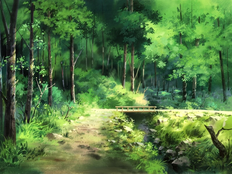 Anime Landscape: Anime Forest Background