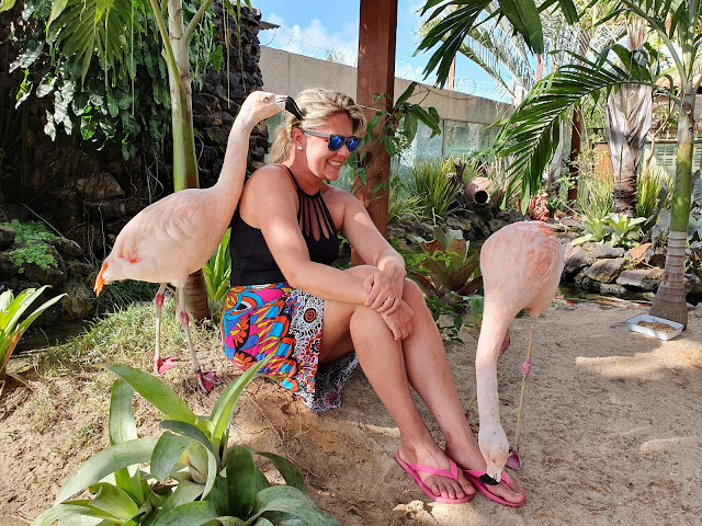 Blog Apaixonados por Viagens - Alagoas - Maragogi - Como Chegar? Onde se Hospedar? O que Fazer? Blog Apaixonados por Viagens - Alagoas - Maragogi - Como Chegar? Onde se Hospedar? O que Fazer?