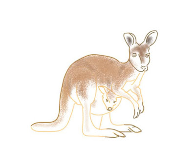 how-to-draw-a-kangaroo-with-a-baby