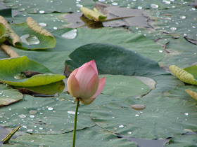 to KBR National Park.