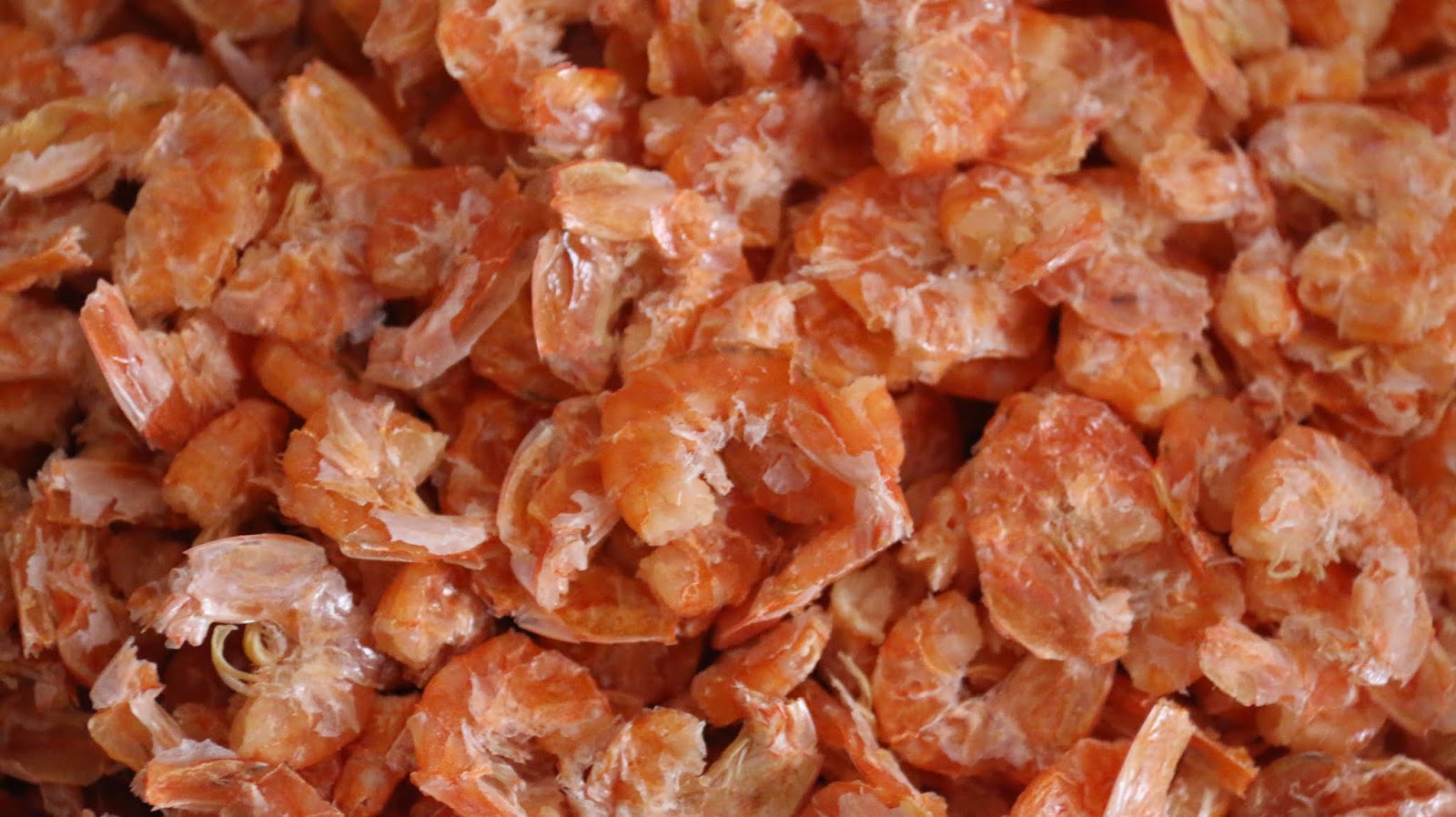 Boriville How to make Dried Shrimp at home
