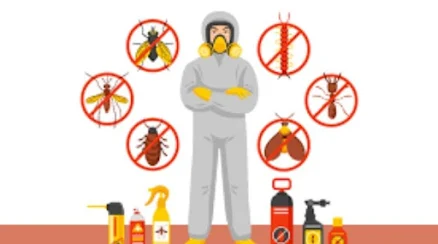 Pest control services TX
