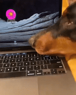 daily_gifdump_3608_36.gif