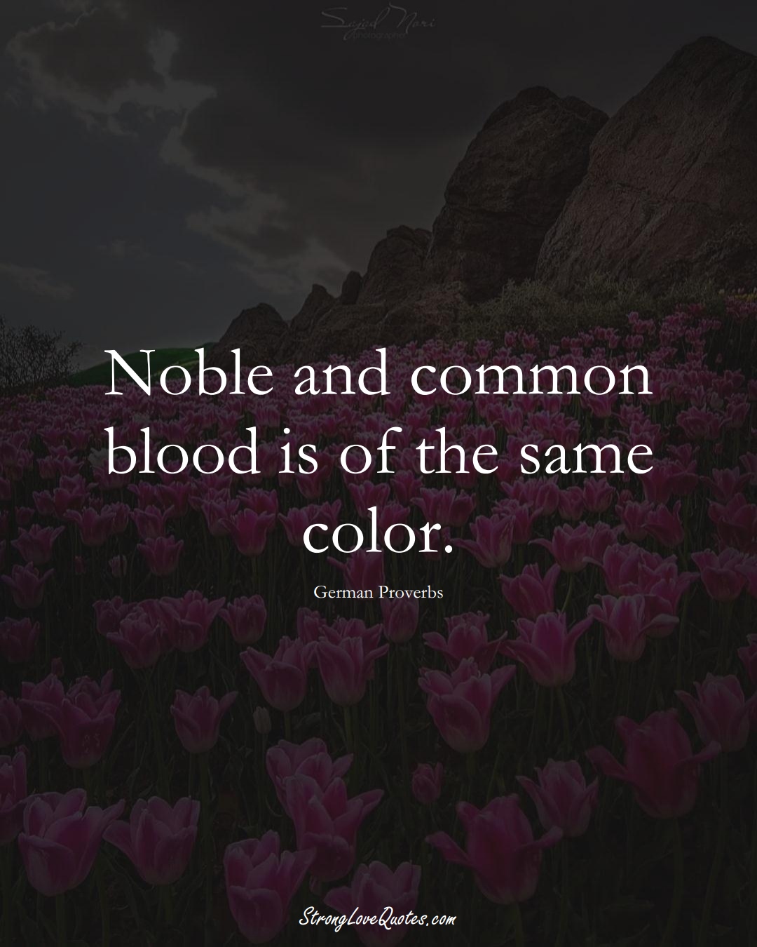Noble and common blood is of the same color. (German Sayings);  #EuropeanSayings
