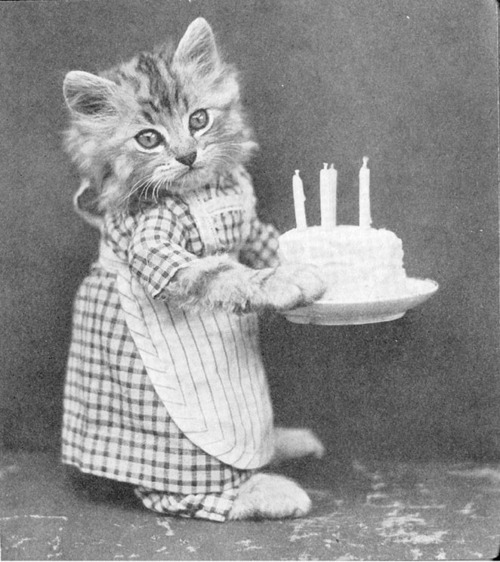 Vintage Pictures of Cats And Dogs Dressed As People 