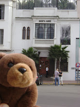 Teddy Bear visiting "Rick's cafe" in Casablanca