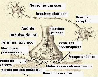 3 - Pragas e Eventos