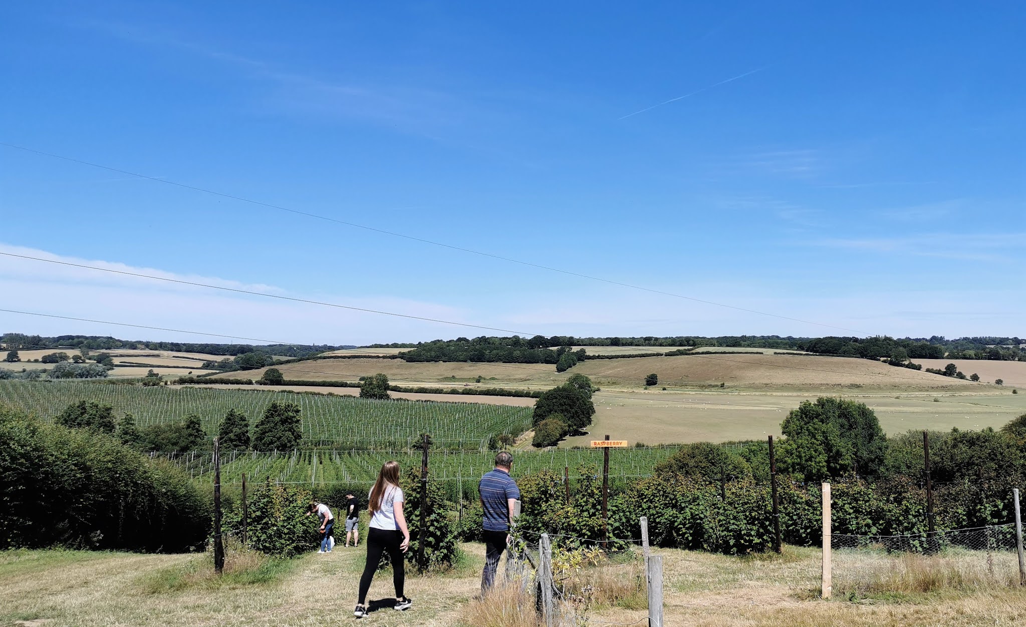Mummy From The Heart Pick Your Own Fruit at Tibbs Farm, Near Rye, East