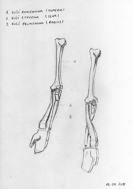bridgman12.jpg