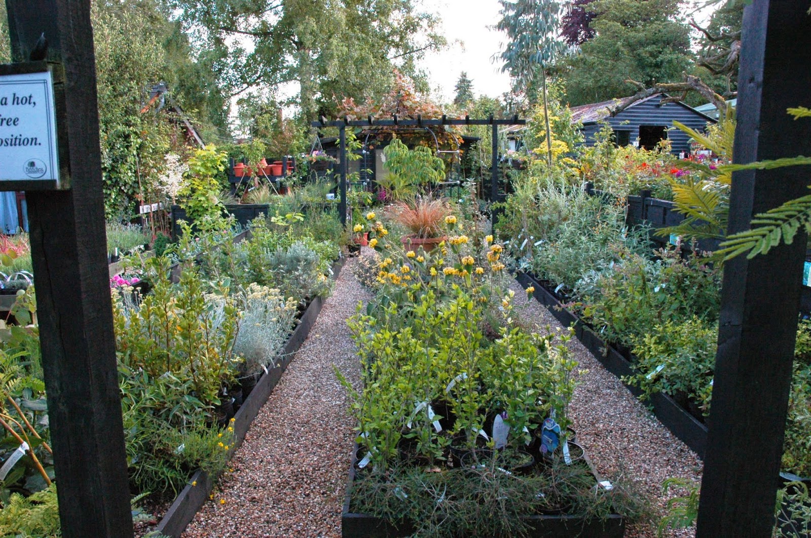 Beeches Nursery Nursery views