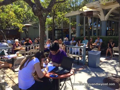 outdoor courtyard at Caffe Strada in Berkeley, California