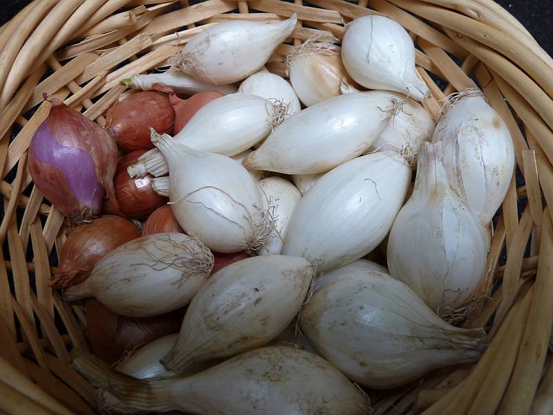 Turbohausfrau Zwiebel Tarte Tatin