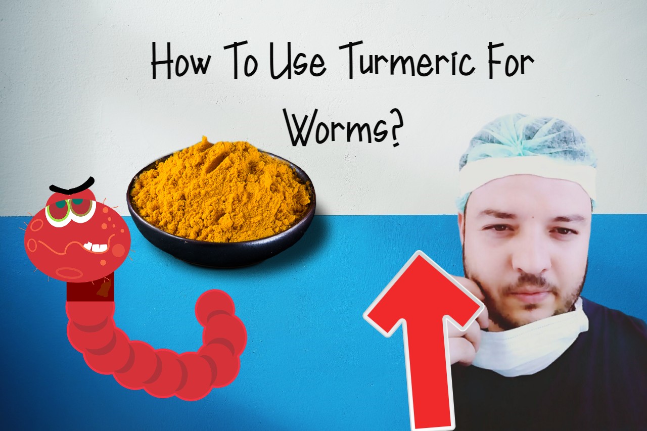 how to use turmeric for worms in dogs how to use turmeric for worms in dogs