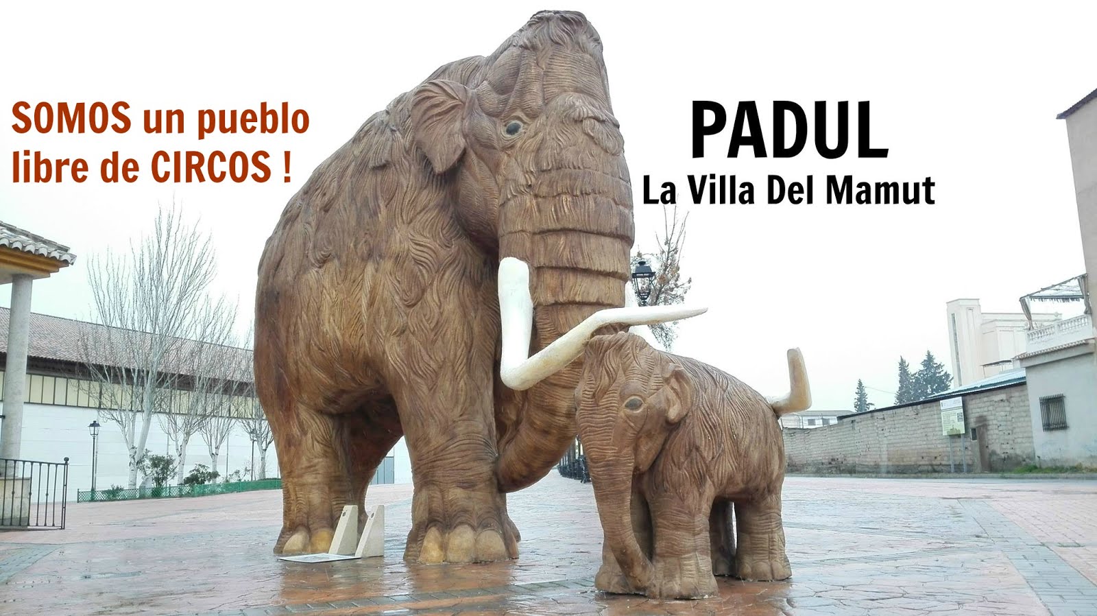 PADUL PUEBLO LIBRE DE CIRCOS CON ANIMALES