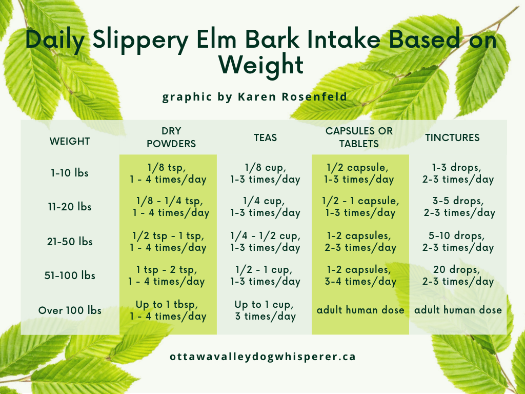 This Herb Helps Ease Tummy Issues and More, Slippery Elm Bark for Dogs