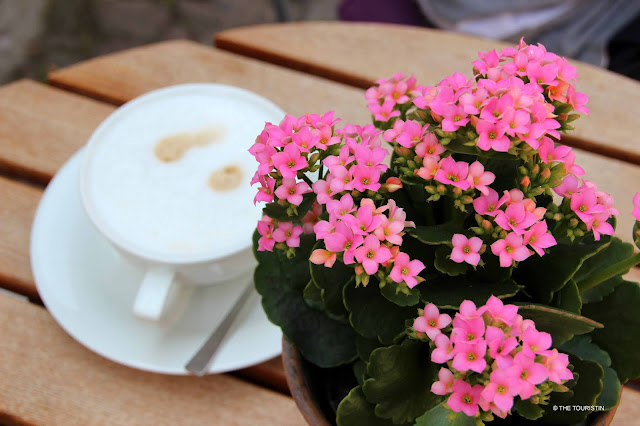 Pink potted flowers next to a cup of coffee with milk foam.