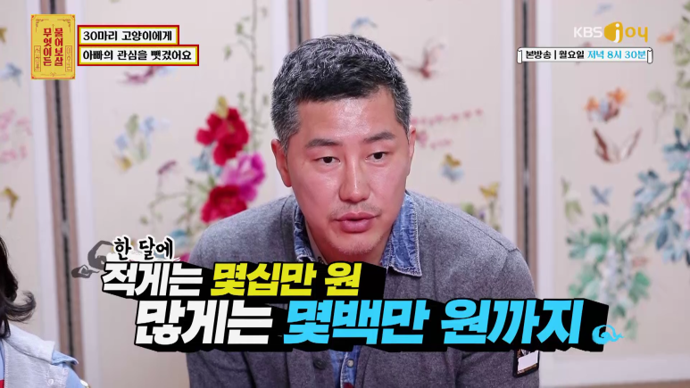 [물어보살] 고양이 키우려 섬으로 이사 간 사연 | 인스티즈