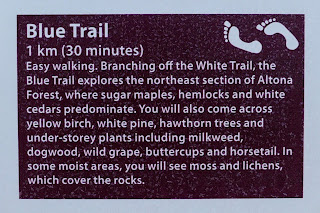 Blue Trail in Altona Forest