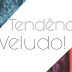 Tendencia: Veludo