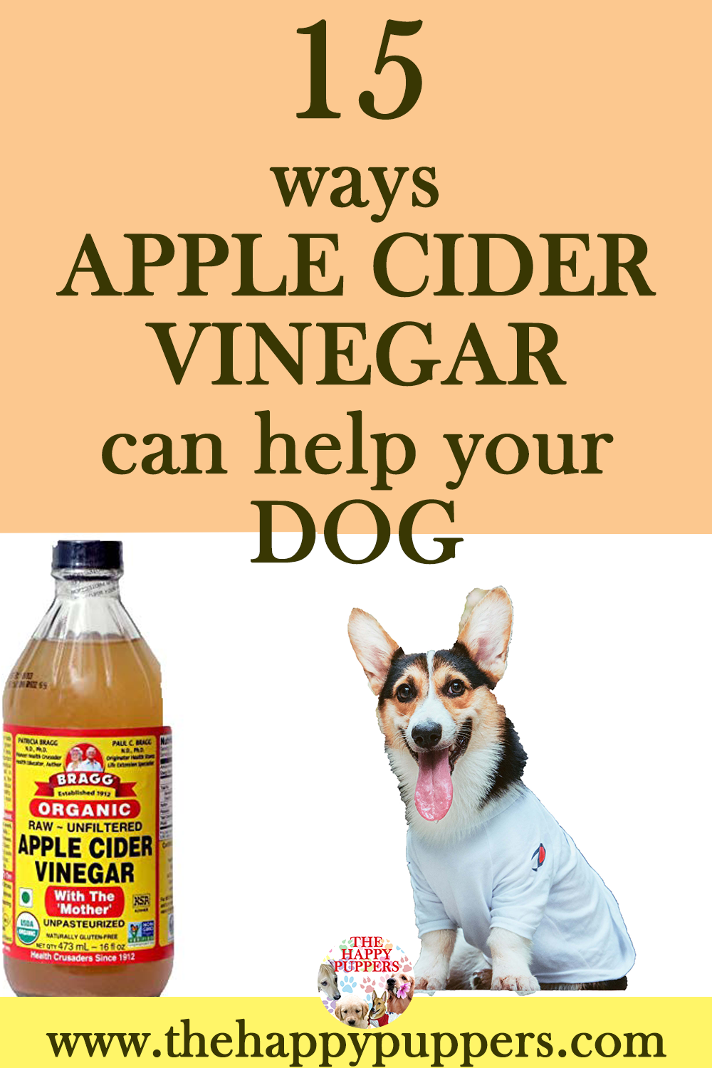 15 unbelievable ways apple cider vinegar (ACV) can help your dog The