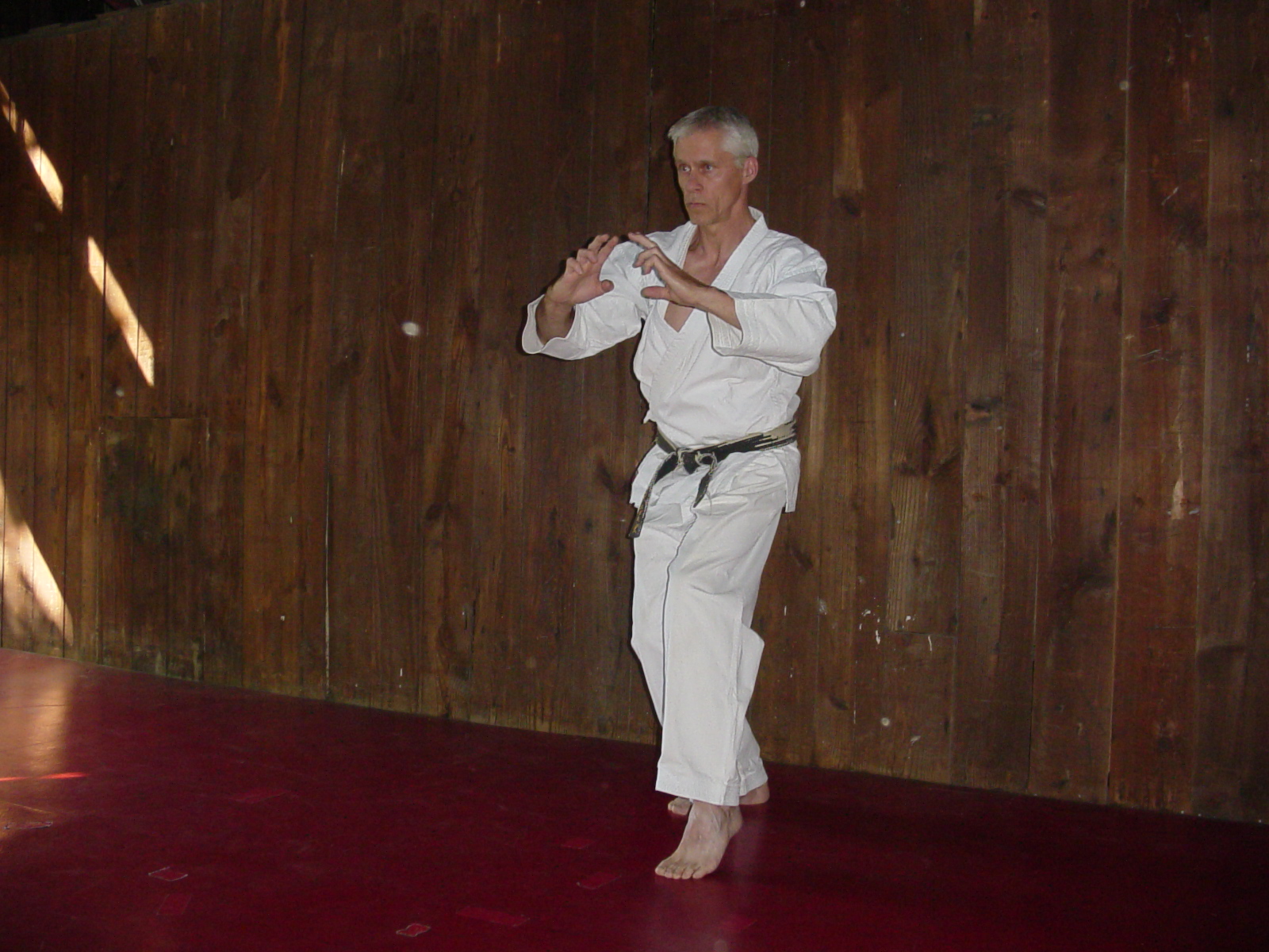 GojuRyu Karatedo You call that a cat stance?!