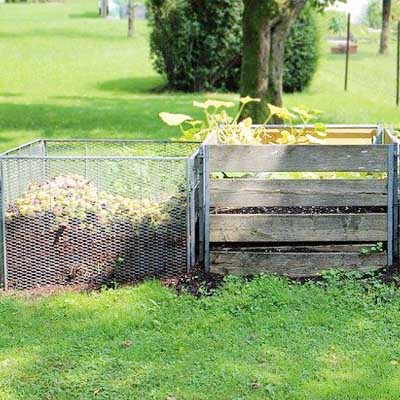 ﻿Worm Composting Is a Fine Example of Upcycling