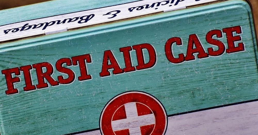 How to Earn Junior Girl Scout Badges How to Earn the Girl Scout Junior