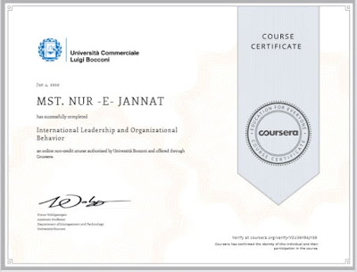 International Leadership and Organizational Behavior