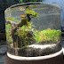Aquascape Ukuran 40 X 20 - #18 bonsai aquascape ukuran tank 40.50.40 - YouTube - Aquarium kabinet bipet kayu jati ukuran sesui pesenan.