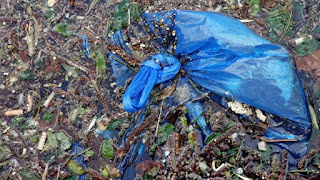 plastic bags, plastic pollution