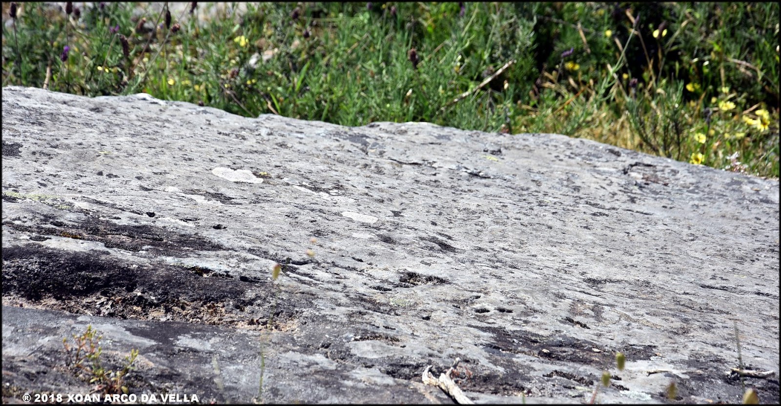 XOAN ARCO DA VELLA PETROGLIFO DE NOGUEIRA ANLLO SOBER