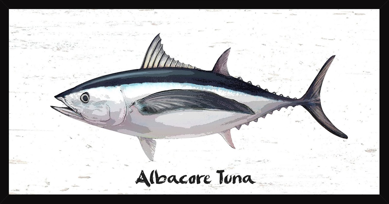 Machine Used by Canned Tuna Factory in Spain to Create High Quality