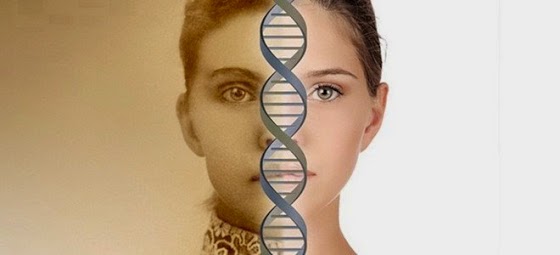 Τα βιώματα είναι κληρονομικά, Πώς οι εμπειρίες των προγόνων μας περνάνε στο δικό μας DNA