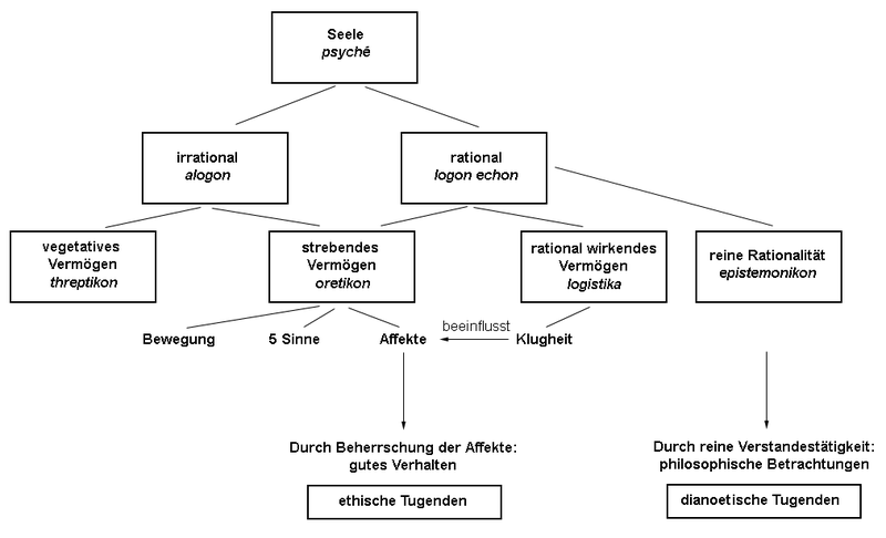 Ethik Was Ist Der Mensch Philosophie GK: Aristoteles - Nikomachische Ethik