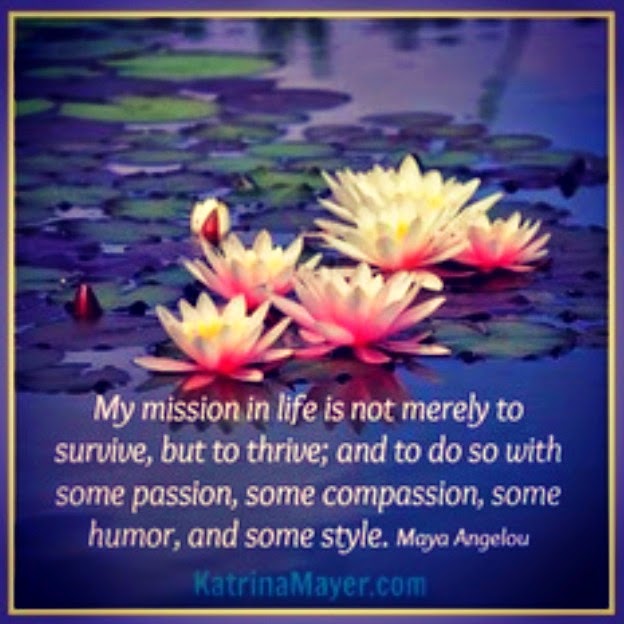 Hey Pretty Lady Hey Lady motto