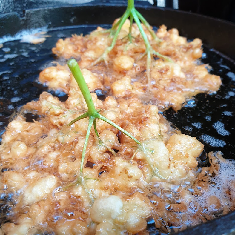Ollis Grillabenteuer: Gebackene Holunderblüten im Bierteig Ollis Grillabenteuer: Gebackene Holunderblüten im Bierteig