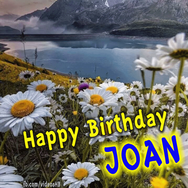 Happy Birthday Daisies Gif