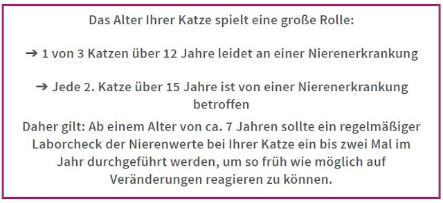 Zahnstein Archive Hund Katze Heimtier Kleintier Haustier