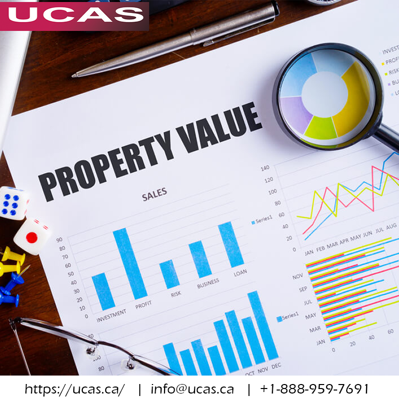 What Are The Advantages Of Property Tax Consultants?