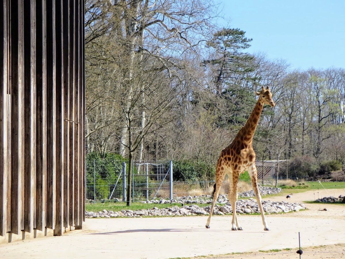 17 of the Best Things to do in Lyon France in 3 Days