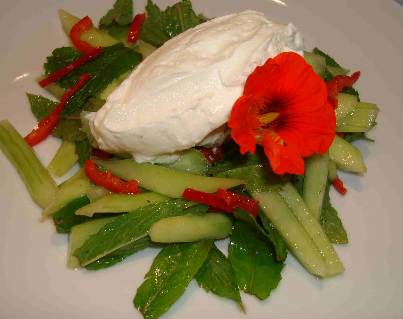 bushcooks kitchen: Happy Gurke in Gurken-Minze-Salat mit Mascarponecreme