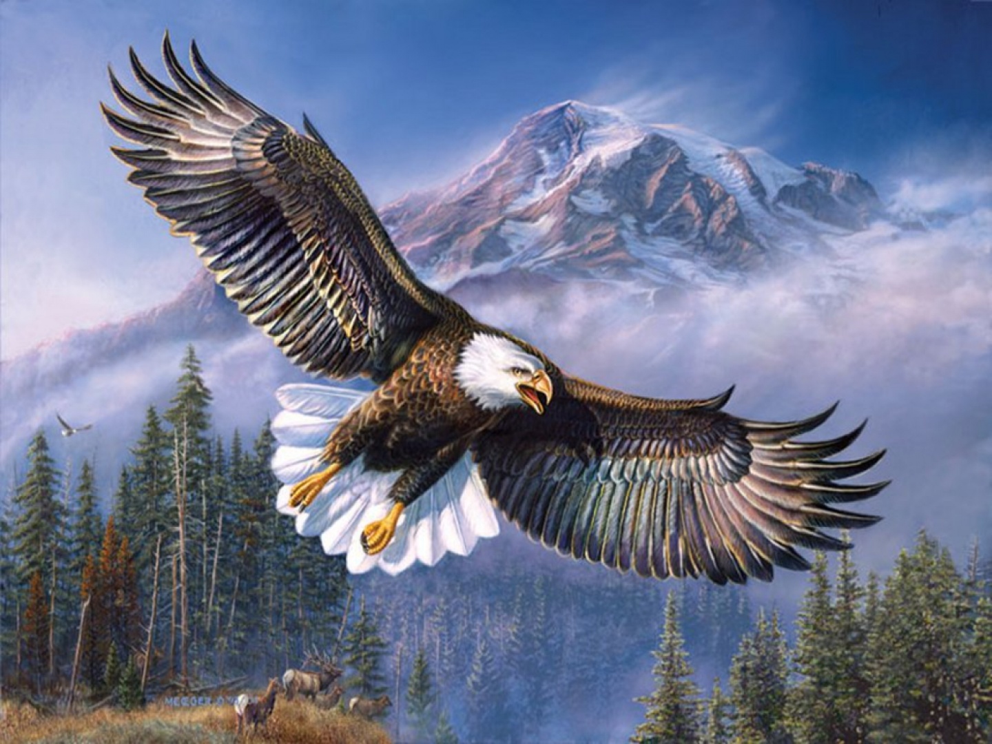 34+ Gambar burung elang keren terupdate