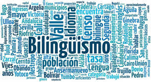 BILINGUAL ZONE IES PUNTA